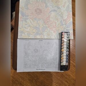 2 Craftoria Adult Paint by Numbers Kits (NWT)